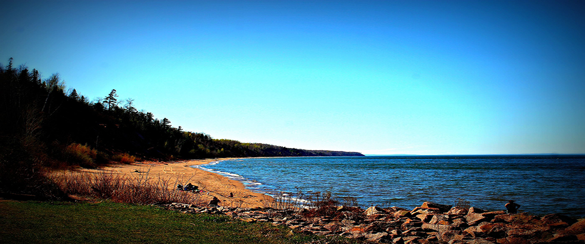 Inside of the book shoppe